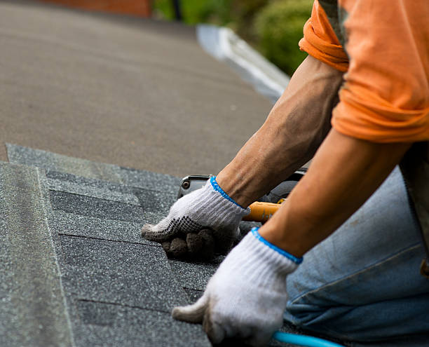 Best Storm Damage Roof Repair  in Ashland, AL
