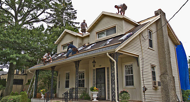 Best Storm Damage Roof Repair  in Ashland, AL
