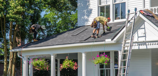 Best Gutter Installation and Roofing  in Ashland, AL